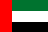 Dubai flag